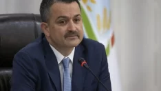 Bekir Pakdemirli’den balıkçılara müjde: Ödemeler bugün yapılacak