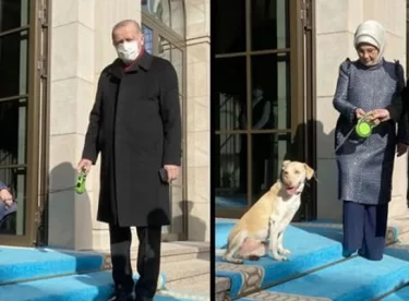 Erdoğan’ı mesaiye eşi Emine Erdoğan ve barınaktan sahiplendiği ‘Leblebi’ uğurladı
