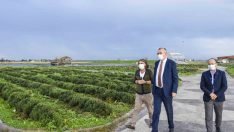 Karacabey’de Binlerce Fidan Toprakla Buluşuyor