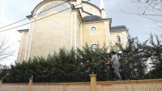 Şehrin Dört Bir Yanında Budama Çalışmaları Sürüyor