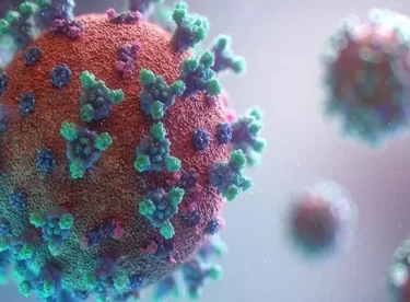 Kaç ülkeye sıçradı? DSÖ’den mutasyon açıklaması