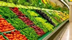 Tarlada 2 filede 12 TL! Akılalmaz fiyatlar için mazeretler hazır