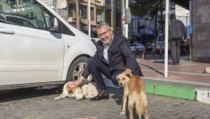 Başkan Ali Özkan’dan ‘Can Dostlarımız’ İçin Duyarlılık Çağrısı