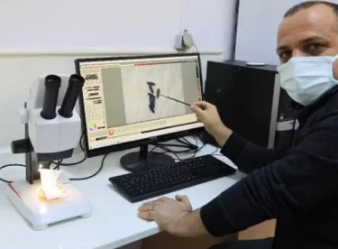 Sivrisinekler kışı iyi geçirdi! Yaz aylarının tamamında artış görülecek