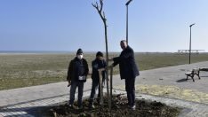 Yeniköy Sahil Yoluna ‘Yeşil’ Dokunuş