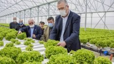 Karacabey, Topraksız Tarım Uygulamalarıyla da Rol Model Olacak