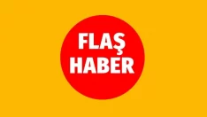 Milli Savunma Bakanlığı: Yasa dışı yollarla ülkemize girmeye çalışan 9 kişi yakalandı