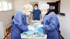 MUDANYA BELEDİYESİ’NDEN “HEPAD”A KISIRLAŞTIRMA DESTEĞİ