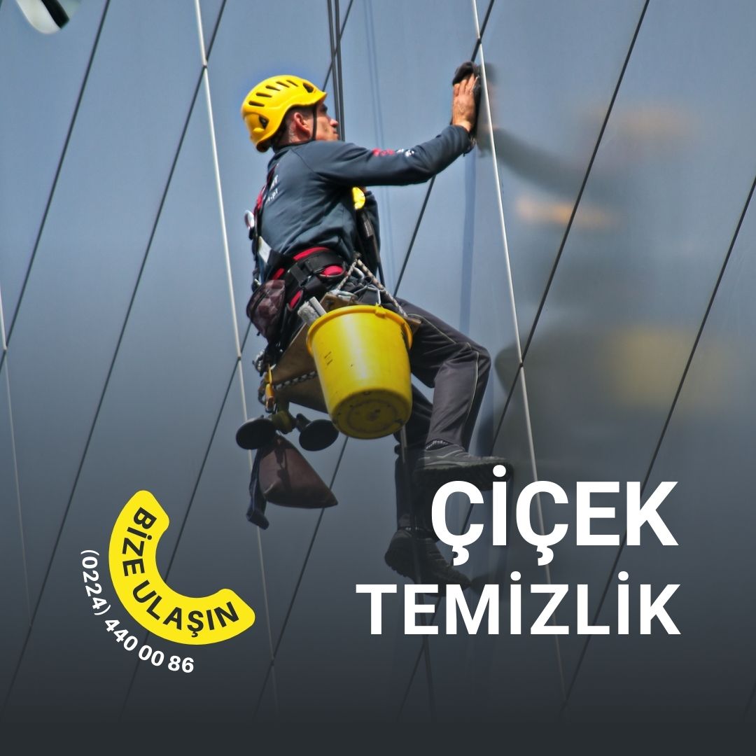 çiçek temizlik